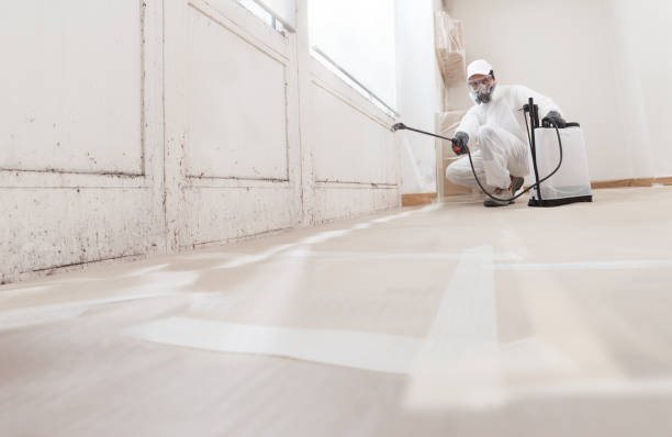 24/7 Emergency Attic Mold Remediation experts in Grampian, PA