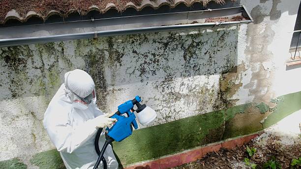 Top rated local Attic Mold Remediation specialists in Grampian, PA